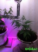 IMG_2016-01-17 22:08:20.jpg