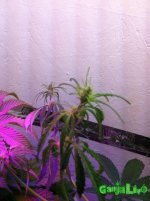 IMG_2016-01-17 22:24:35.jpg