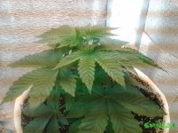 20160117_135131.jpg