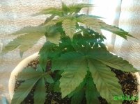 20160117_135142.jpg