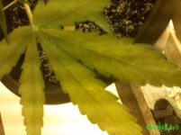 IMG_20160119_121214.jpg