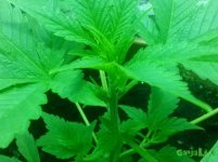 IMG_20160119_225734.jpg