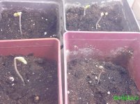IMG_20160118_202848.jpg