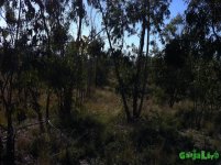 gras4 039.JPG gras4 039.JPG