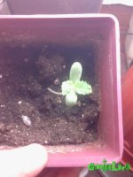 IMG_20160121_210252.jpg