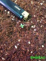 IMG_20160122_221627 - копия.jpg