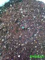 IMG_20160122_221217 - копия.jpg