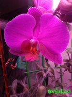 IMG_20160122_230652 - копия.jpg