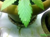 IMG_20160121_210219.jpg