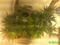 IMG_20160125_115459.jpg