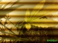 IMG_20160125_115807.jpg