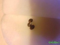 IMG_20160127_192036.jpg
