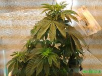 20160128_063044.jpg
