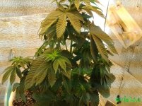 20160128_063113.jpg