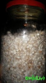 20160201_105254.jpg