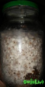 20160201_105344.jpg