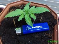 IMG_20160203_224142 - копия.jpg