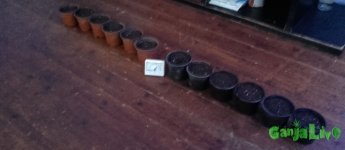 IMG_20160205_162022.jpg