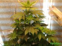 20160207_114731.jpg
