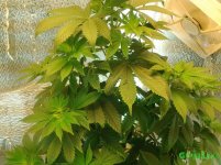 20160207_114739.jpg