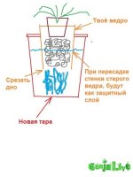 Безымянный.jpg