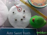 IMG_20160207_131911.jpg