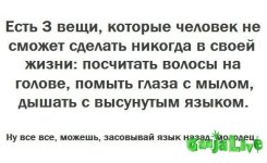 7120311.jpg