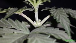 20160209_130524.jpg