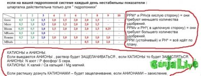 Табла Флора на гидру 1.jpg