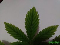 IMG_20160210_174926 - копия.jpg