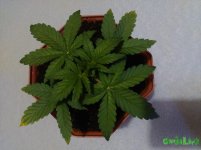 IMG_20160210_175801 - копия.jpg