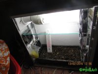 IMG_1128.jpg