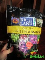 IMG_1134.jpg