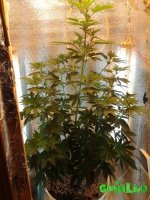 20160216_113718.jpg
