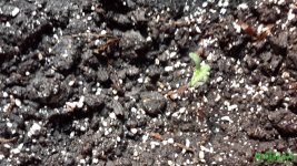 20160217_132139.jpg
