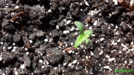 20160217_132145.jpg