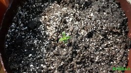 20160217_132207.jpg