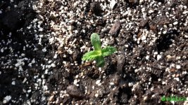 20160217_132216.jpg