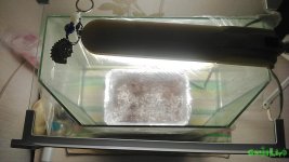 SMART_20160219_182346.jpg