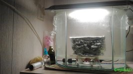 SMART_20160219_182632.jpg