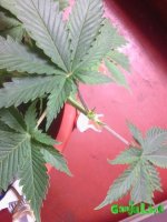 IMG_20160219_204313.jpg