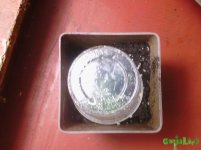 IMG_20160219_204726.jpg