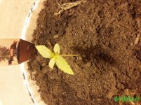 20160221_140031.jpg
