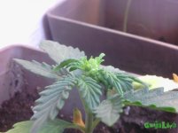 IMG_20160222_203658.jpg