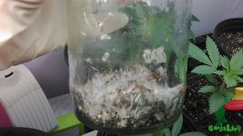SMART_20160224_131342.jpg