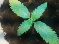 20160224_225638.jpg