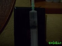 000_0074.JPG