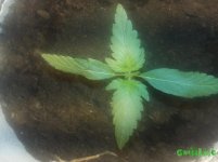 20160226_225528.jpg
