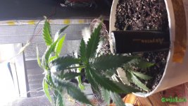 20160225_151449.jpg