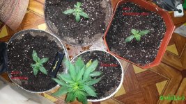 20160225_151748.jpg
